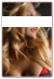 Escortservice Köln